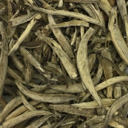 Chinese white tea loose leaf tea Le Grandi Origini collection Yin Zhen in 50 grams tin